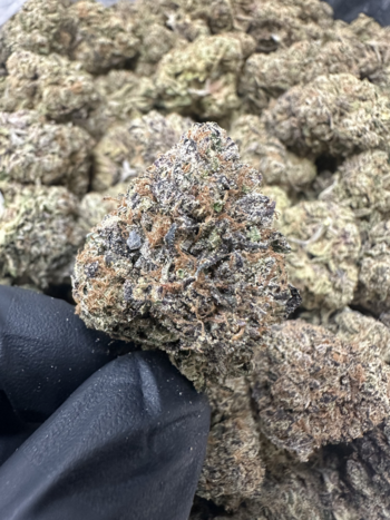 Top Shelf | Indoor Cali Gold | 32.54% THC | 3.5G