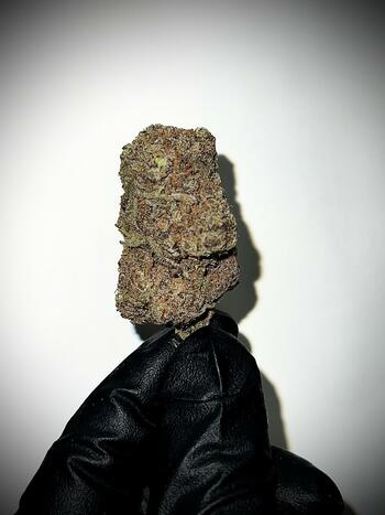 Indoor - SPACE NERDS | 31.64% THC | 3.5g