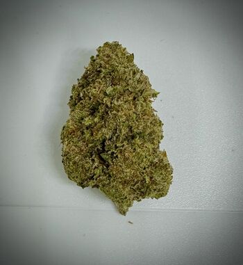 TOP SHELF - Platinum OG (indoor) | 30.90% THC | 28g