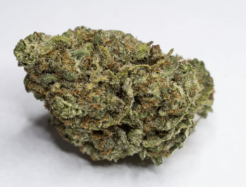 Top Shelf - Banana OG | 28.46% THC