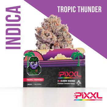 Tropic Thunder