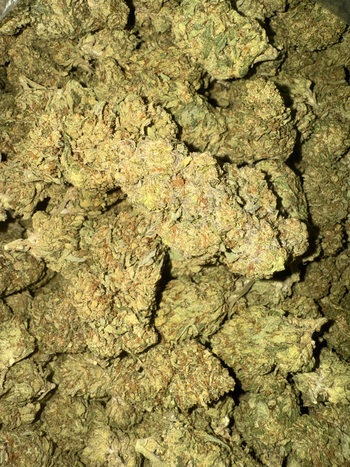 Light Dep - Mango Guava - 28G