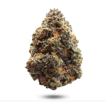 Indoor - Rainbow Sherbet | 36% THC | 1oz