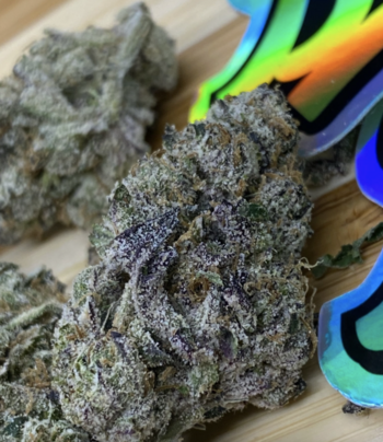 TOP SHELF - Lemon Cherry Gelato (indoor) | 33% THC | 14gr