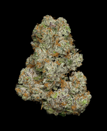 Indoor - GSC | 32.63% THC | 14g