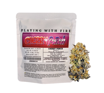 Jungle Boys | Cherry Punch | 3.5G Mylar