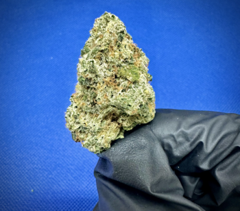 Top Shelf - True OG | 30.56% | 14G