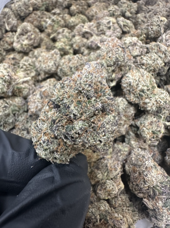 Top Shelf | Indoor Pink Rosay | 30.42% THC | 28G