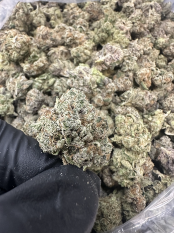 Top Shelf | Indoor Kush Mints | 30.93% THC | 28G