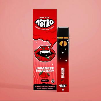 Japanese Strawberry - 2G Disposable