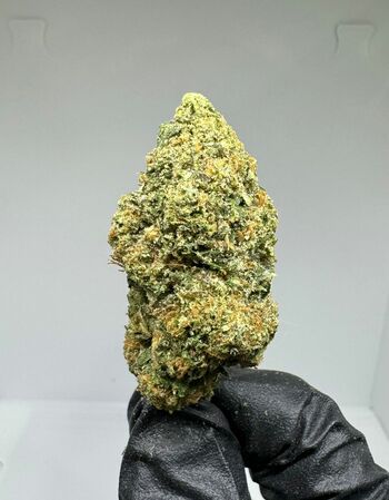 Indoor - Blue Slushie | 31.44% THC | 14g