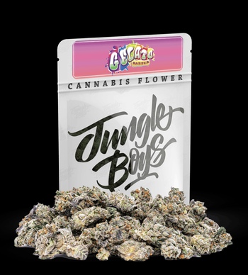 Jungle Boys - Gelato Batter - 3.5g Mylar