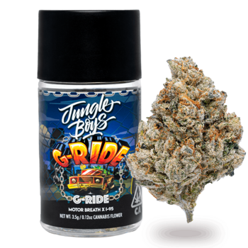 Jungle Boys | G-Ride - 3.5g Jar