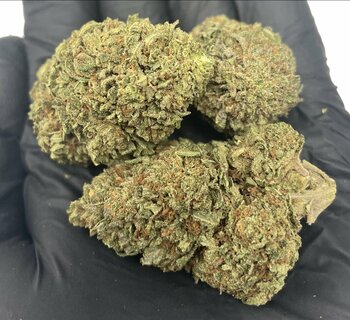 Light Dep - Garlic Cookies - 28G